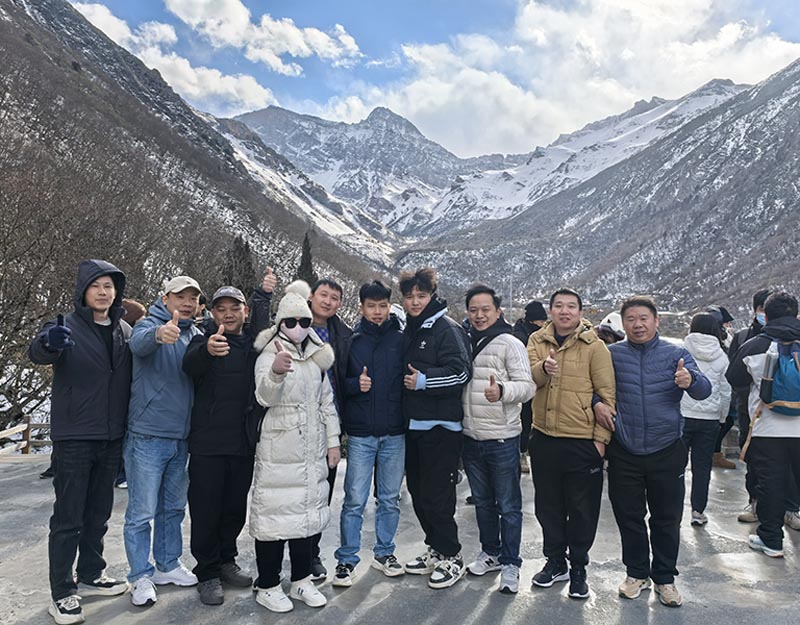 Company Team